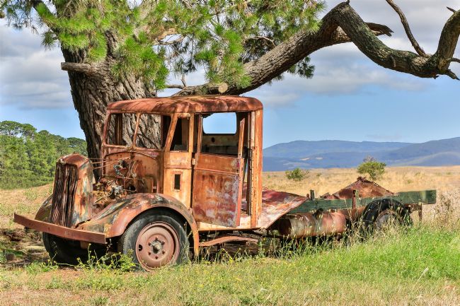 pauline tims | Old Timer