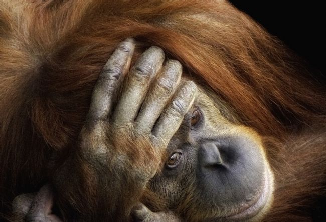 pauline tims | My Head Hurts