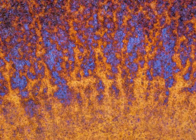 Pauline  Tims | Rust 