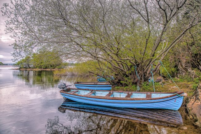 Pauline  Tims | The Blue Boat