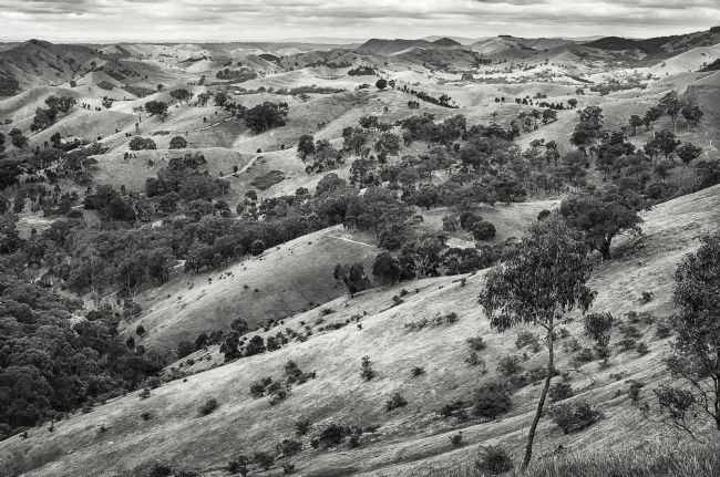 Pauline  Tims | Murchison's Gap Victoria Australia