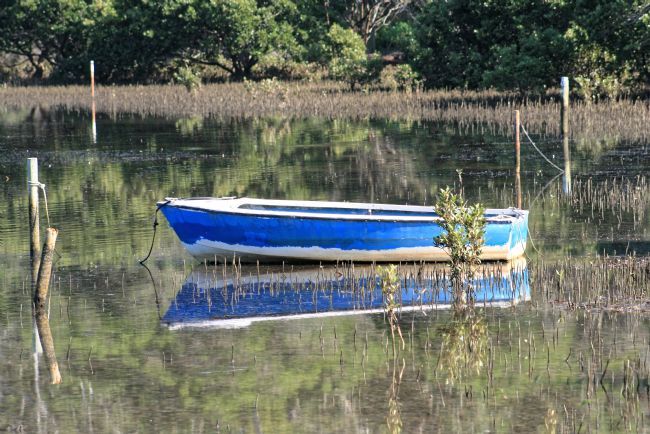 Pauline  Tims | The Blue Boat at lough Leanne