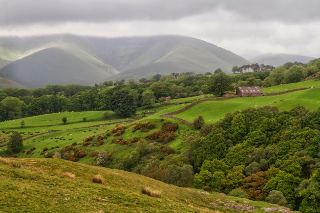 Pauline  Tims | Mist on the hill near Keswick UK