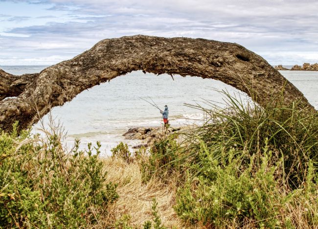 Pauline  Tims | Gone Fishing Anglesea  Australia