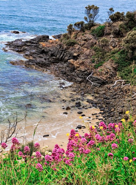 Pauline  Tims | East Coast of Tasmania, Australia