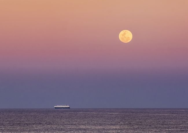 Pauline  Tims | Moonlight