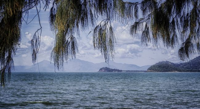 Pauline  Tims | Palm Cove , Queensland ,Australia