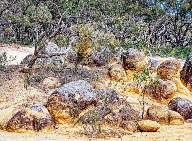 Pauline  Tims | Heathcote Victoria Australia