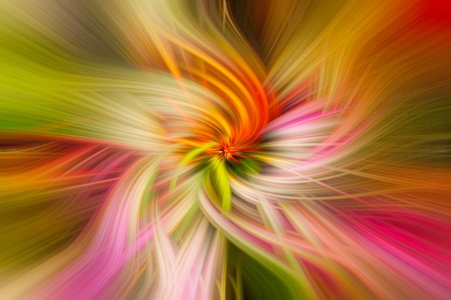 Pauline  Tims | Butterfly Twirl 