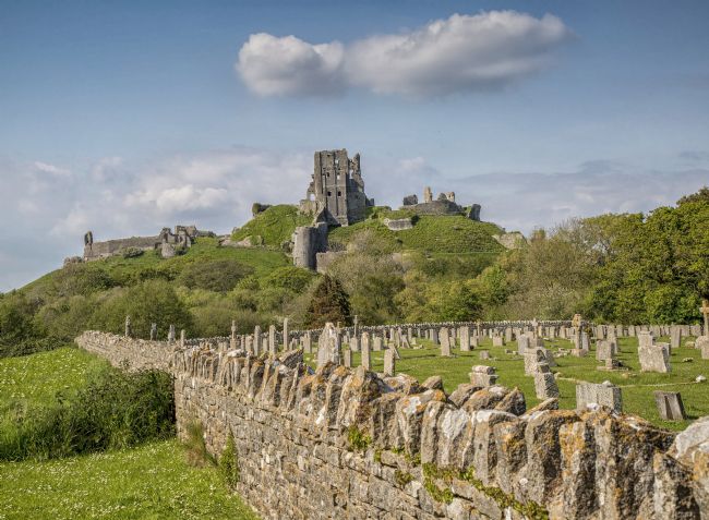 Pauline  Tims | Corfe Castle Dorset UK