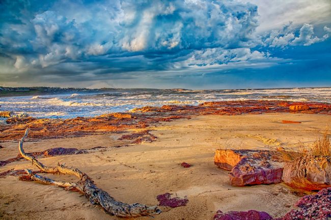 Pauline  Tims | Merimbula, New South Walea, Australia