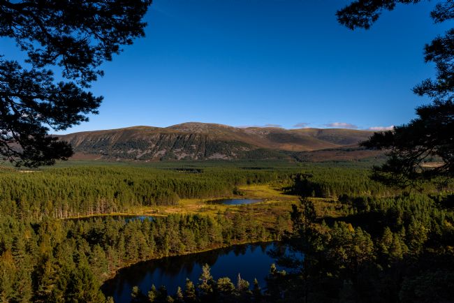 Nick Rowland | Uath Lochan_Bears Paw 