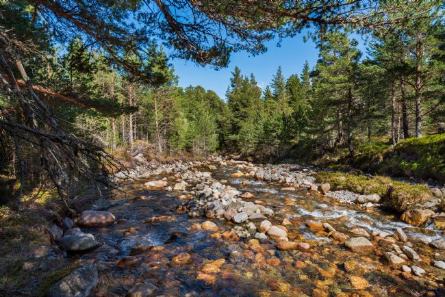 Nick Rowland | Rocky River on Cairngorm Mountain