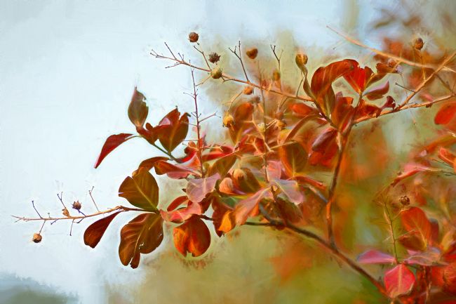 Kaye Menner | A Dusty Autumn