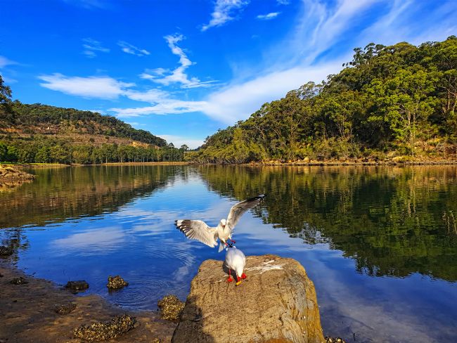 Kaye Menner | Excuse Me Please