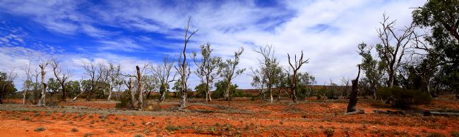 Kaye Menner | Natural Australian Desert Panorama