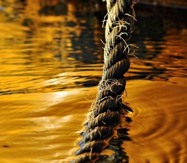 Kaye Menner | Rope on Liquid Gold