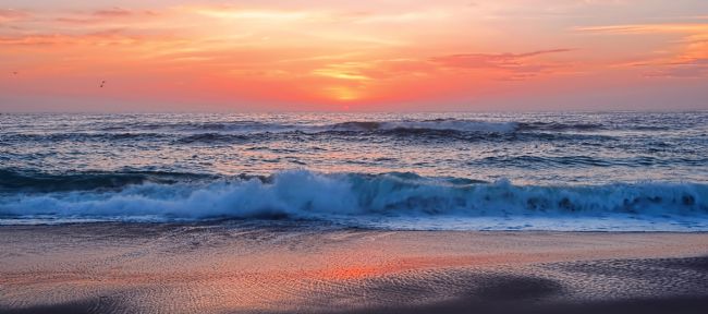 Kaye Menner | Pink Sunrise Panorama Bronte Beach Sydney