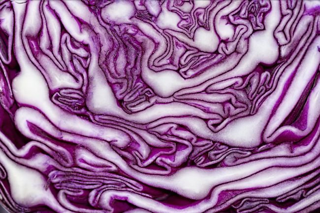 Kaye Menner | Red Cabbage Abstract Macro
