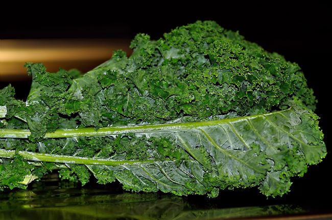 Kaye Menner | Curly Kale