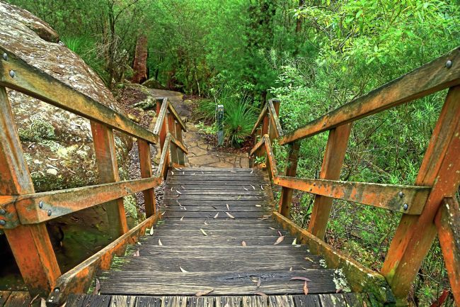 Kaye Menner | Stairs to the Falls