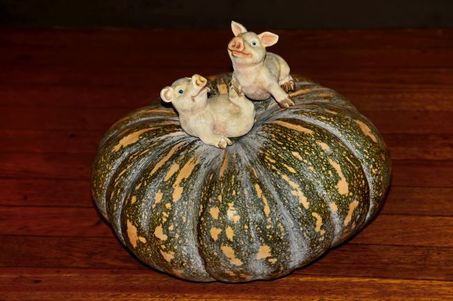 Kaye Menner | Pigs on Pumpkin
