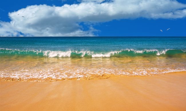 Kaye Menner | Pretty Waves in Paradise - Palm Beach Sydney