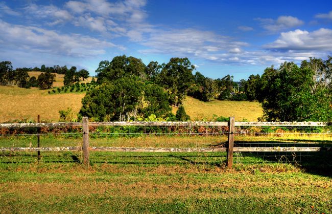 Kaye Menner | Golden Countryside Australia