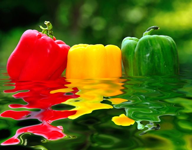 Kaye Menner | Capsicum Afloat - Peppers Afloat