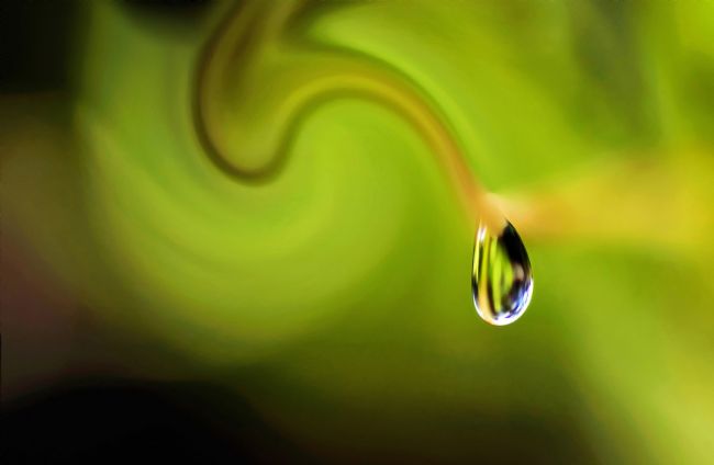 Kaye Menner | Droplet Ready to Drip