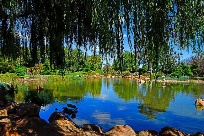 Kaye Menner | Lake Through the Willow
