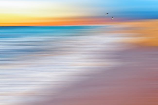 Kaye Menner | Water Abstraction 2 with Seagulls