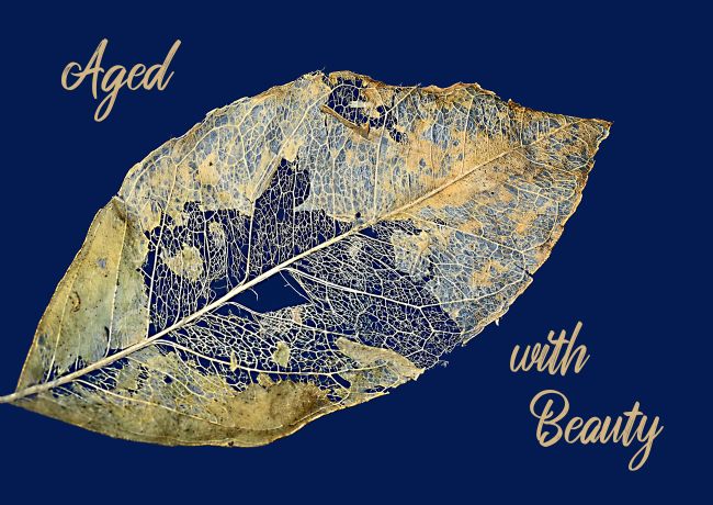 Kaye Menner | Aged with Beauty