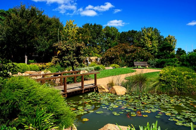 Kaye Menner | Pretty Botanical Gardens Dubbo