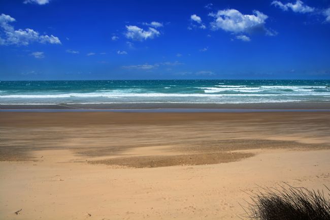 Kaye Menner | Windy Day Oxley Beach NSW Australia 3