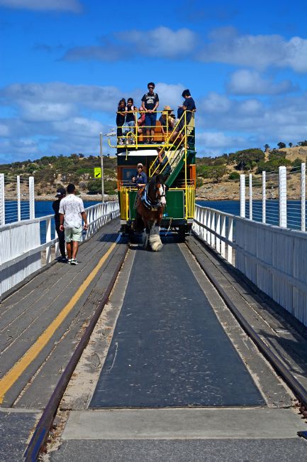 Kaye Menner | Horse Drawn Tram Victor Harbor - South Australia