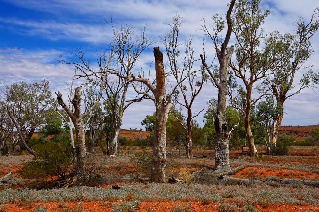Kaye Menner | Natural Australian Outback Landscape