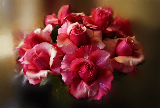 Kaye Menner | Vanilla Wine Rose Bouquet