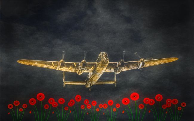 Cyndy Duff | Lest We Forget