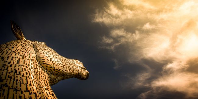 Cyndy Duff | Kelpies Sungazer