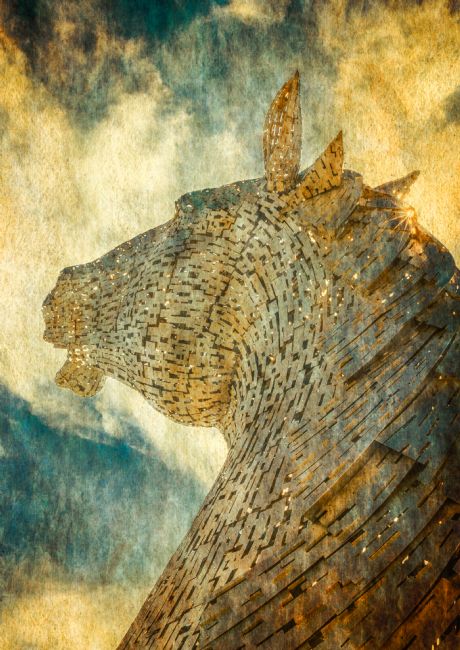 Cyndy Duff | Kelpies Sunworshipper