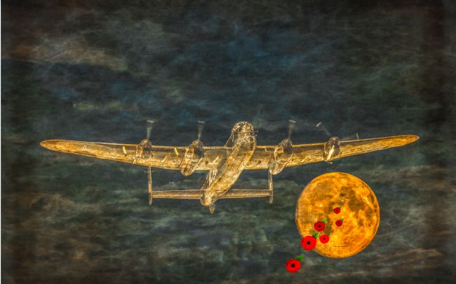 Cyndy Duff | Lest We Forget