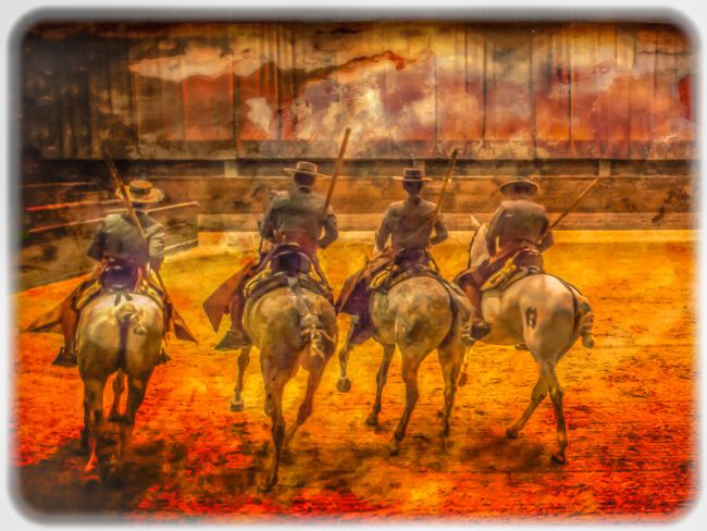 Cyndy Duff | Gauchos On Display At Lipica