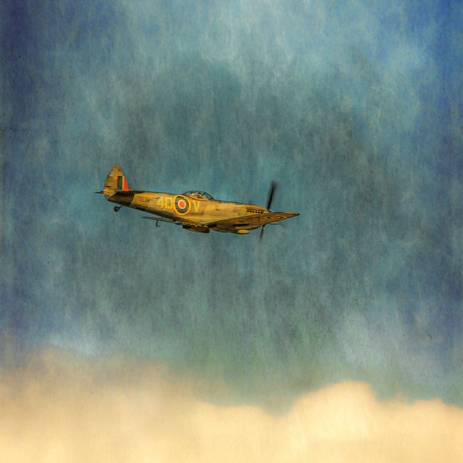 Cyndy Duff | Spitfire Dream