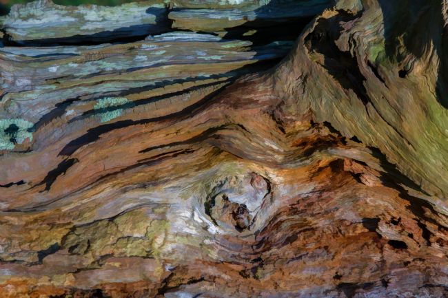 Peter Hemington | Log art