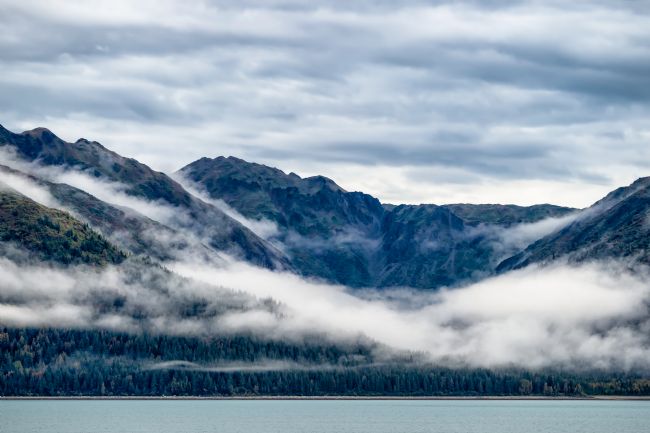 Roy Scrivener | Glacier Bay Mist