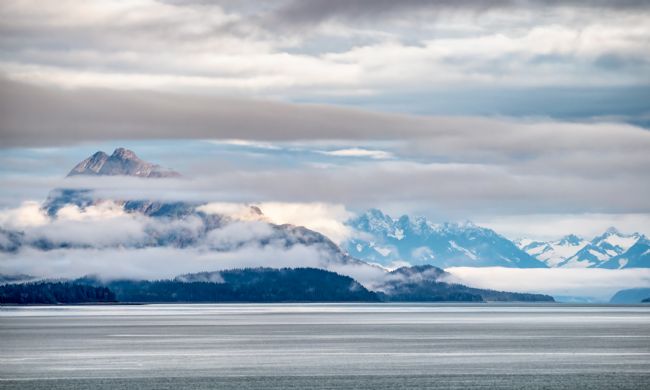 Roy Scrivener | Glacier Bay