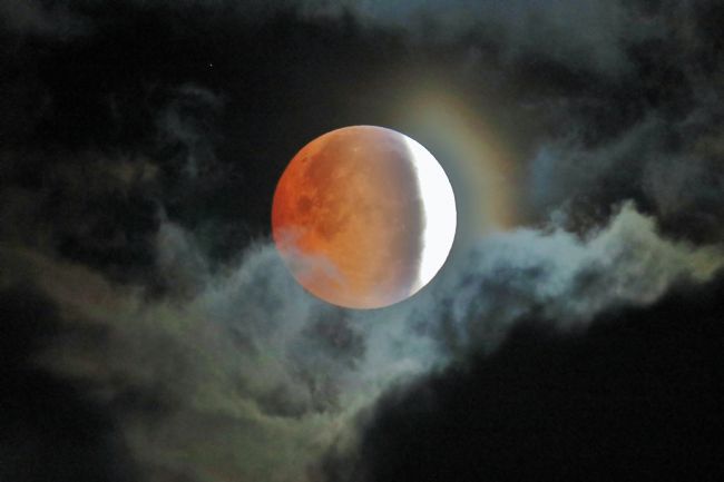 Susan Snow | Partial Lunar Eclipse