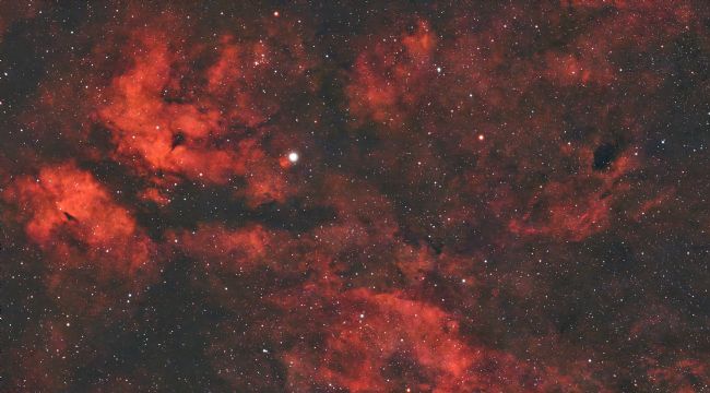 Susan Snow | Sadr Star nebulosity