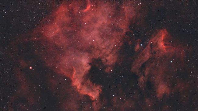 Susan Snow | North American Nebula